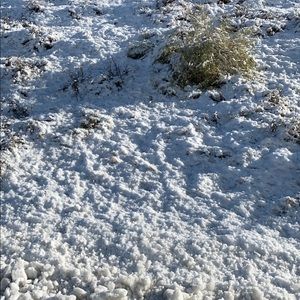 Meet your Posher, Sukhvir